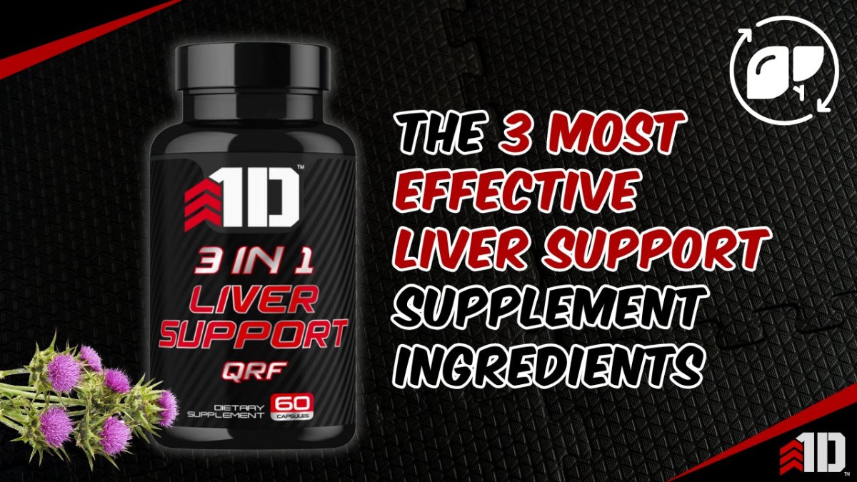 The 3 Most Effective Liver Support Supplement Ingredients - 1st Detachment