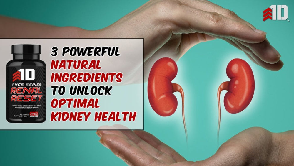 3 Powerful Natural Ingredients to Unlock Optimal Kidney Health - 1st Detachment